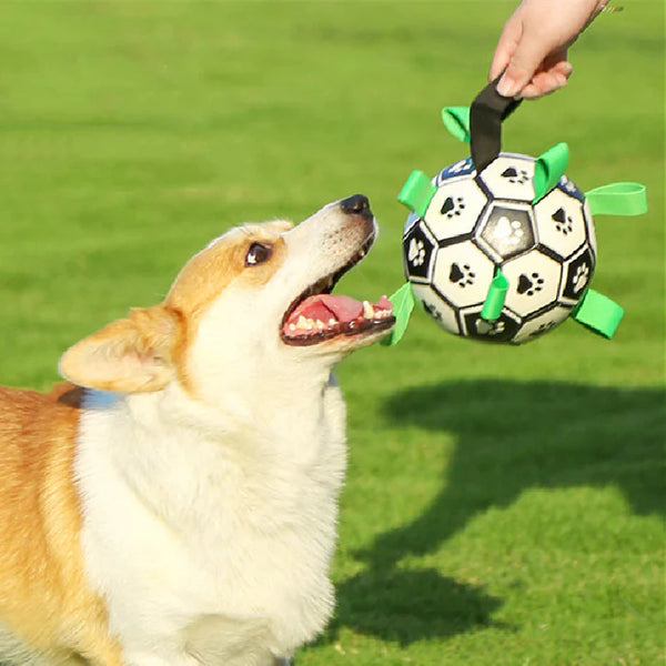 PawPlay™ - Soccer Ball For Dogs