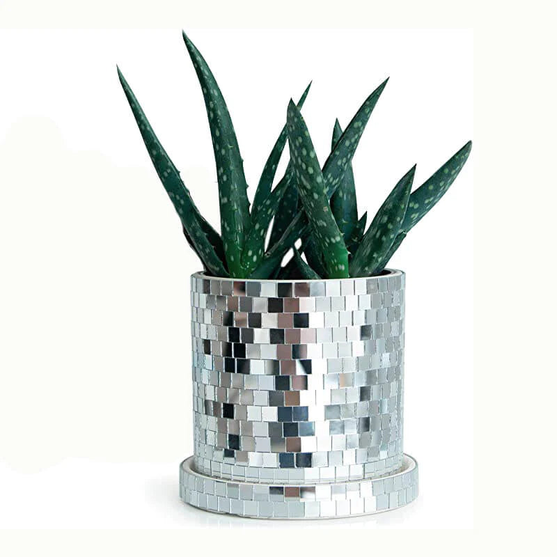 Disco Planter