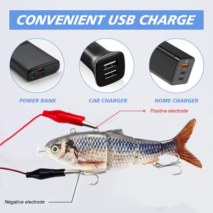 Electronic Fishing Lure