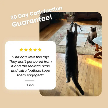 KittyKraze™ - MeowMastery Toy
