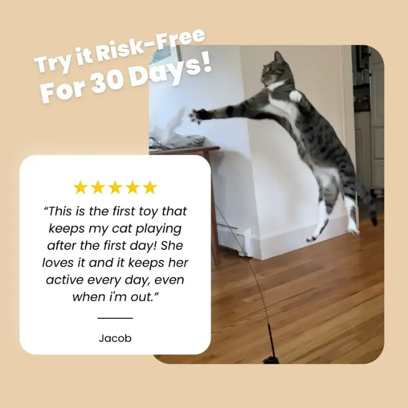 KittyKraze™ - MeowMastery Toy