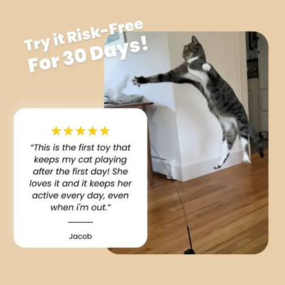 KittyKraze™ - MeowMastery Toy