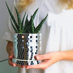 Disco Planter